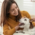 The Cost of Pet Care Services in Alexandria, Virginia: An Expert's Perspective