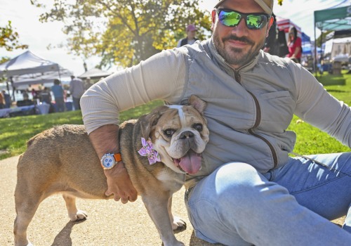 Exploring the Variety of Pet Care Services in Alexandria, Virginia